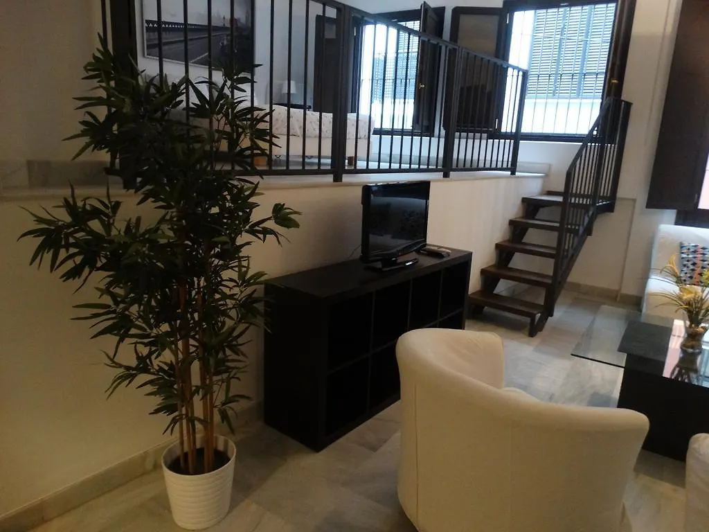 Malaga Apartamentos - Jinetes, 13
