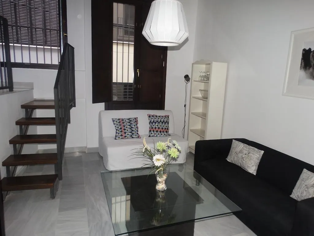 Apartment Malaga Apartamentos - Jinetes, 13