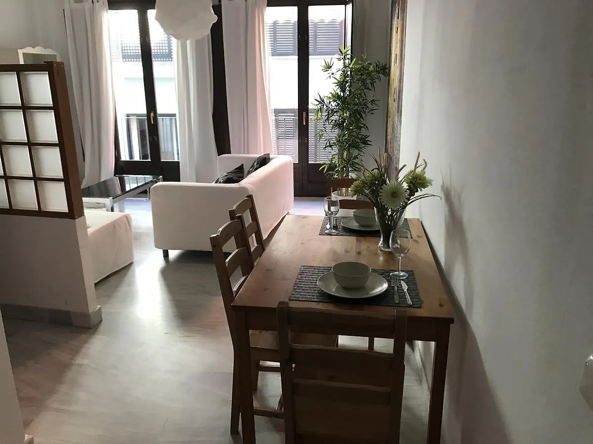 Apartment Malaga Apartamentos - Jinetes, 13 Spain